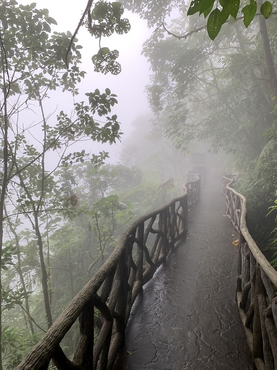 Waterfall trail lost in a cloud at La Paz Waterfall Park in Costa Rica