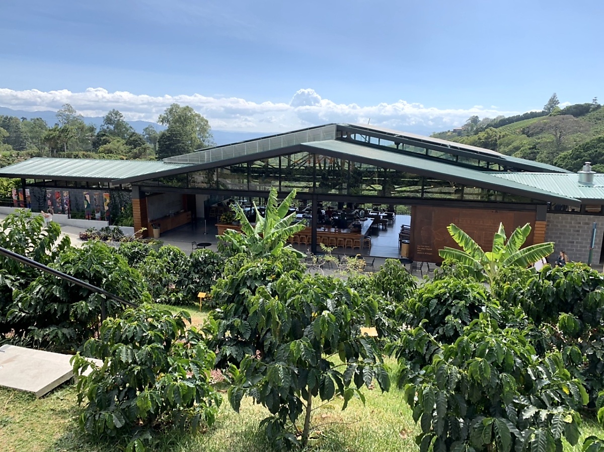 Hacienda Alsacia Coffee Farm owned by Starbucks and  just north of San Jose Costa Rica