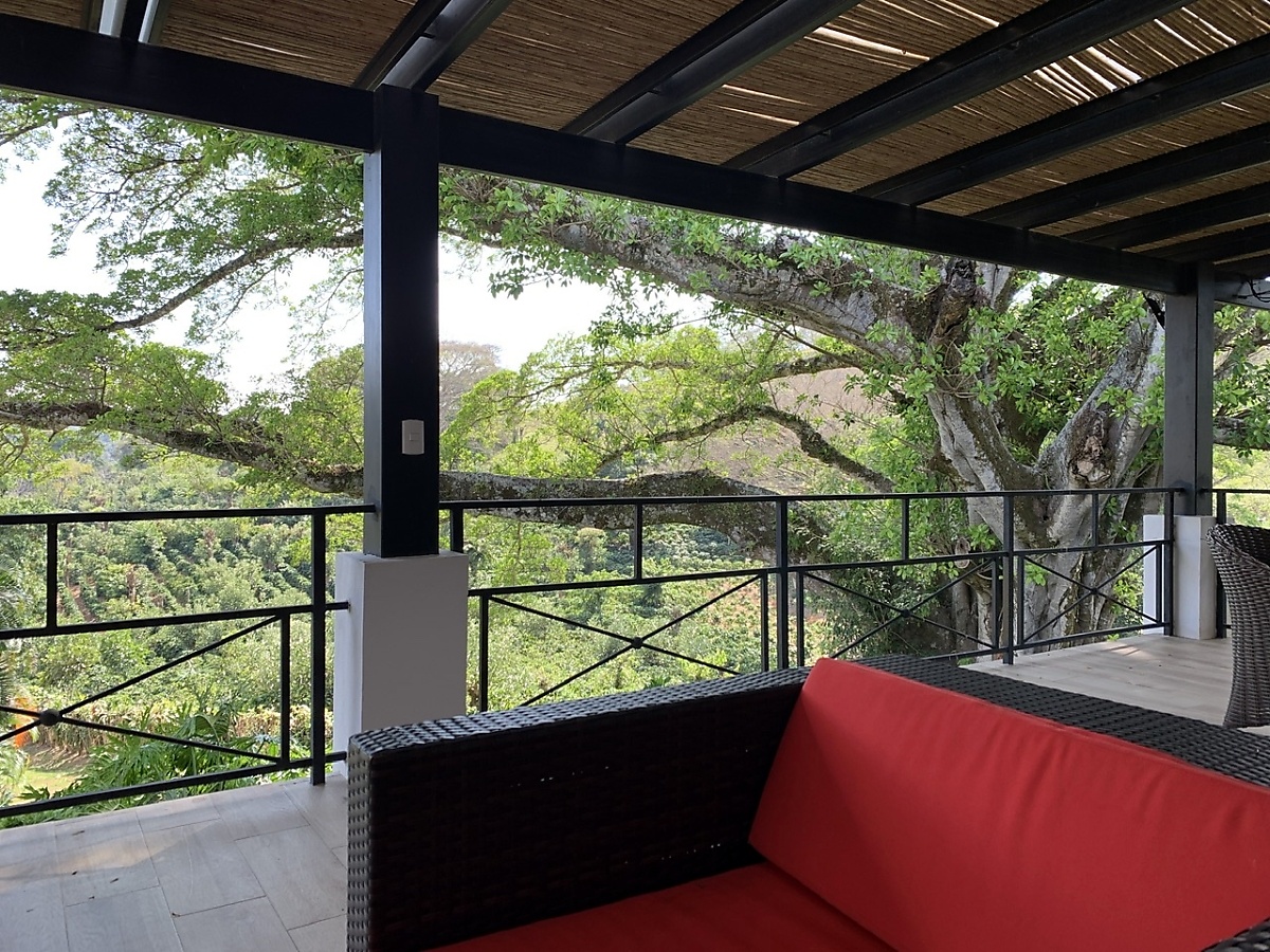 Relaxing on porch with view of huge tree at VRBO vacation rental near Atenas Costa Rica