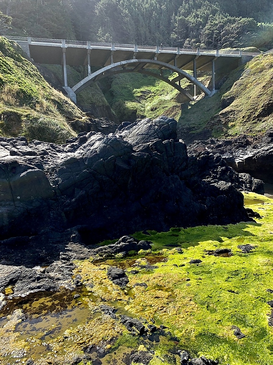 Cape Perpetua Scenic Area on the Oregon Coast