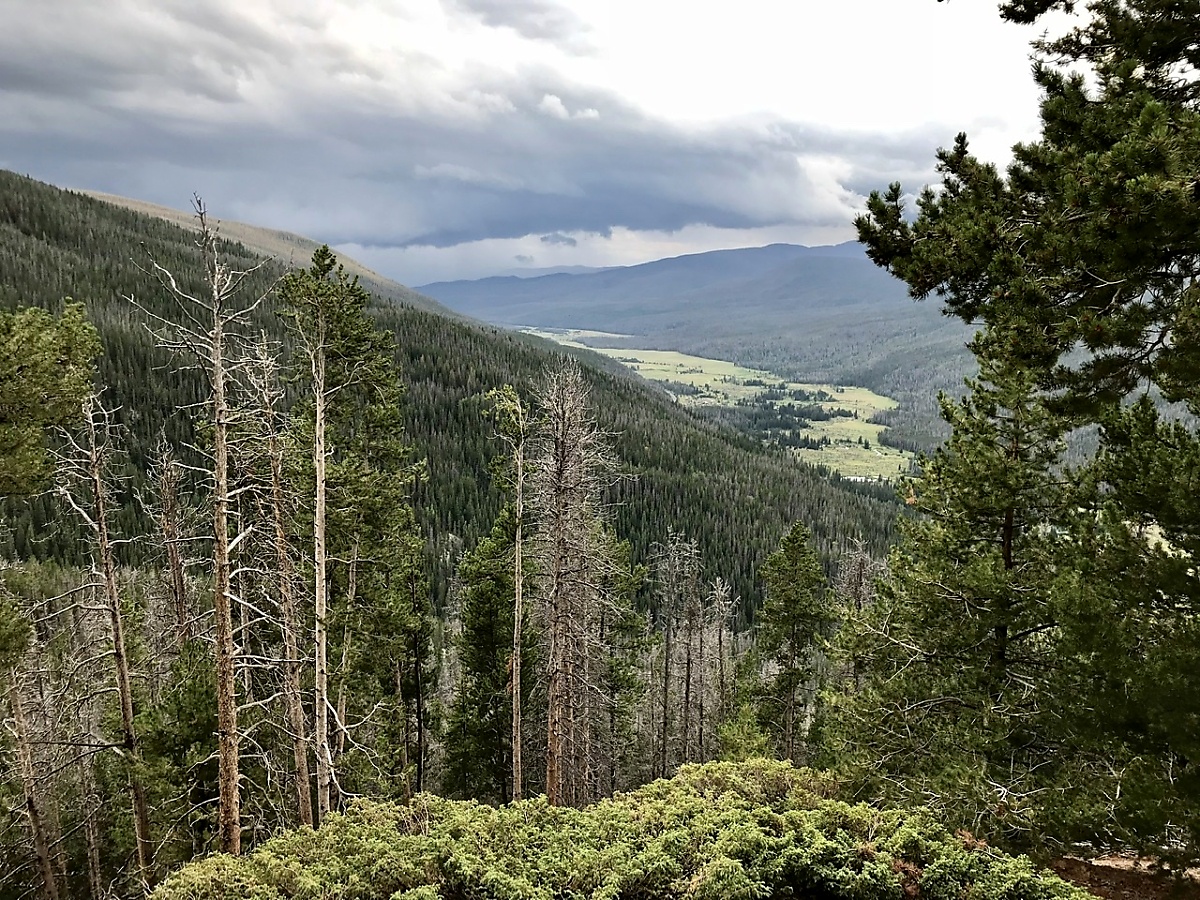 A view from Trail Ridge Road in Rocky Mountain National Park