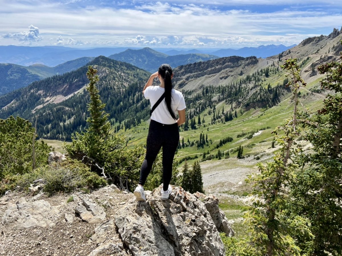 A panoramic view from the top of Mineral Basin at Snowbird Utah in the summer