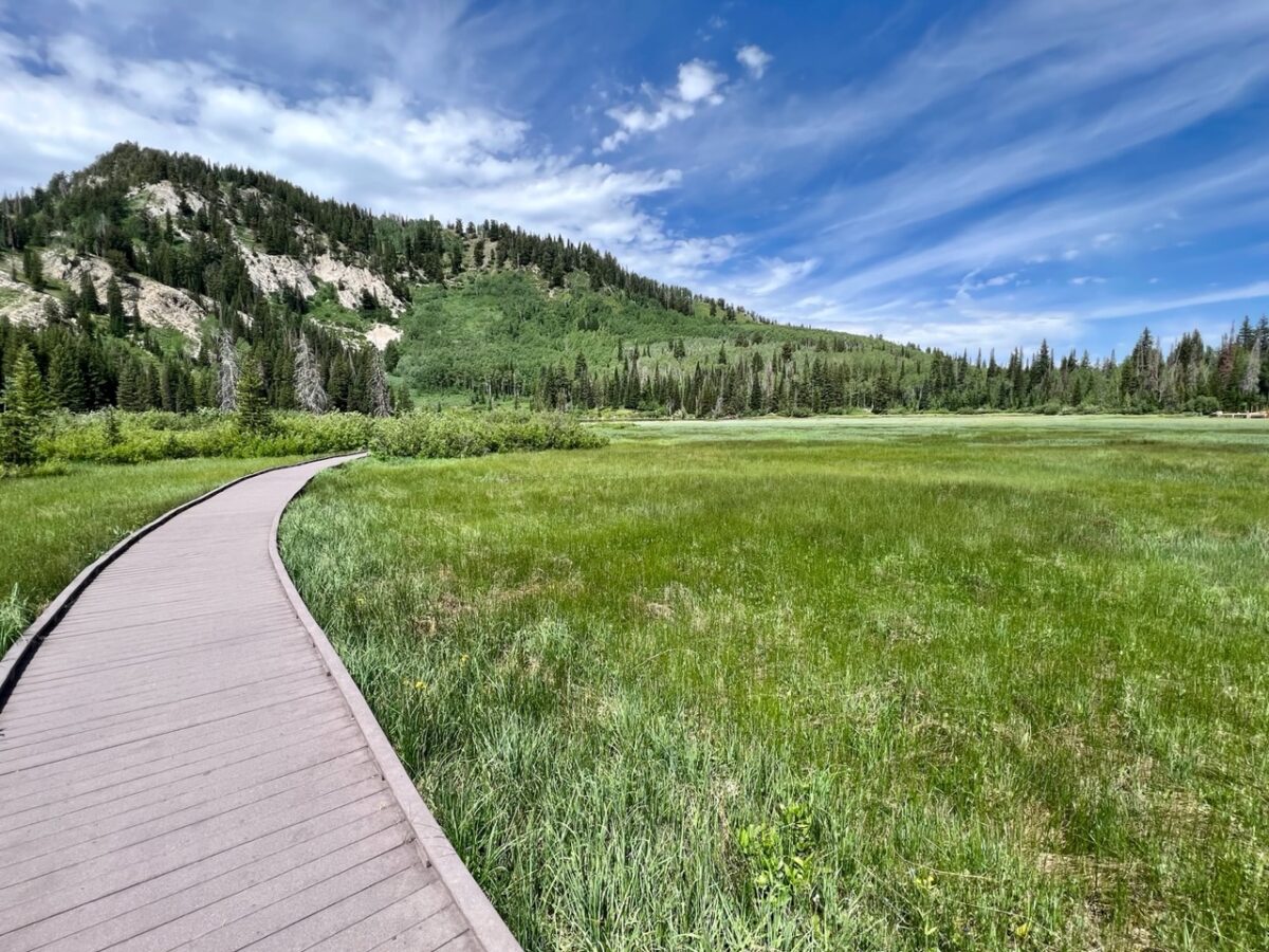 The boardwalk passing through the wetlands adjoining Silver Lake at Brighton Utah