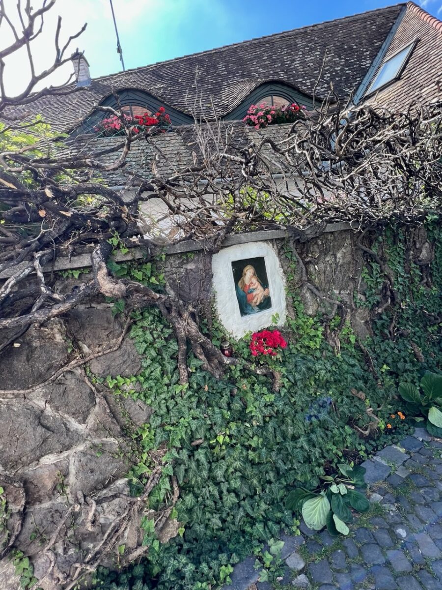 A unique house covered in foliage in Szentendre Hungary