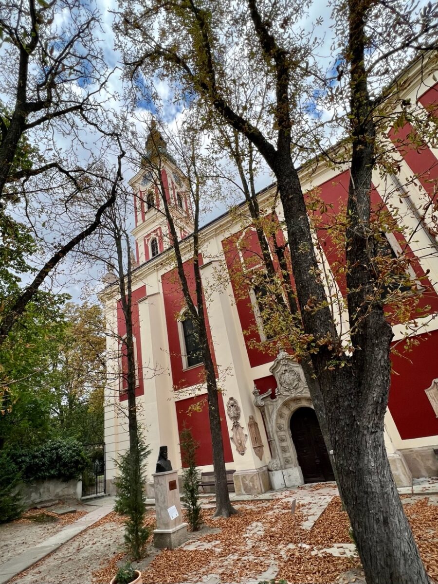 Belgrade Cathedral in Szentendre Hungary surrounded by chestnut trees with fall foliage