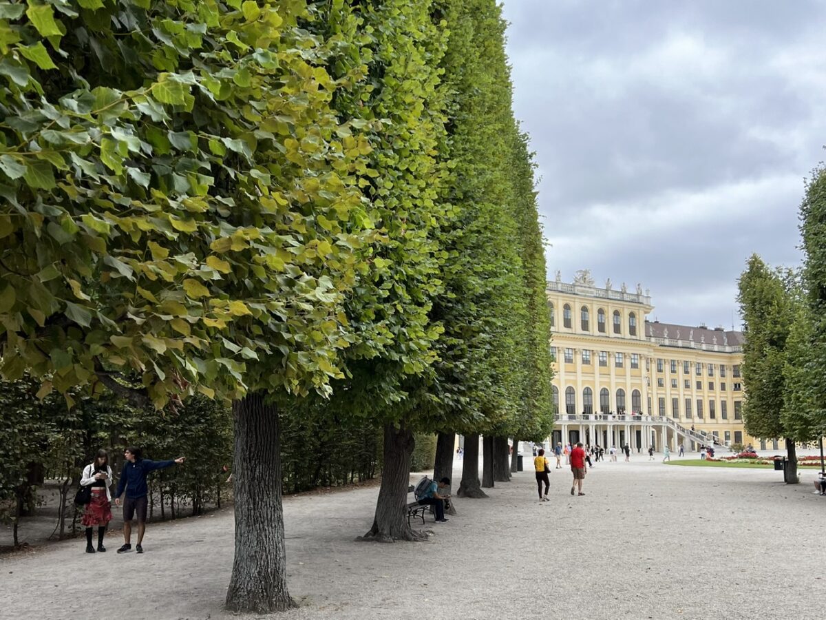 A view of Schonbrunn Palace in Vienna from a tree-lined pathway