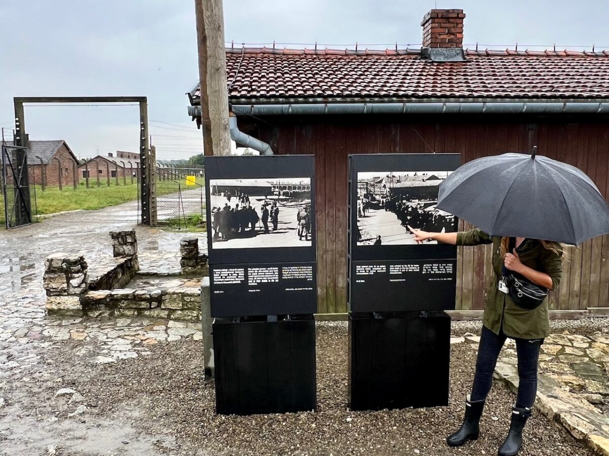 An official educator describing events at the Birkenau Concentration Camp