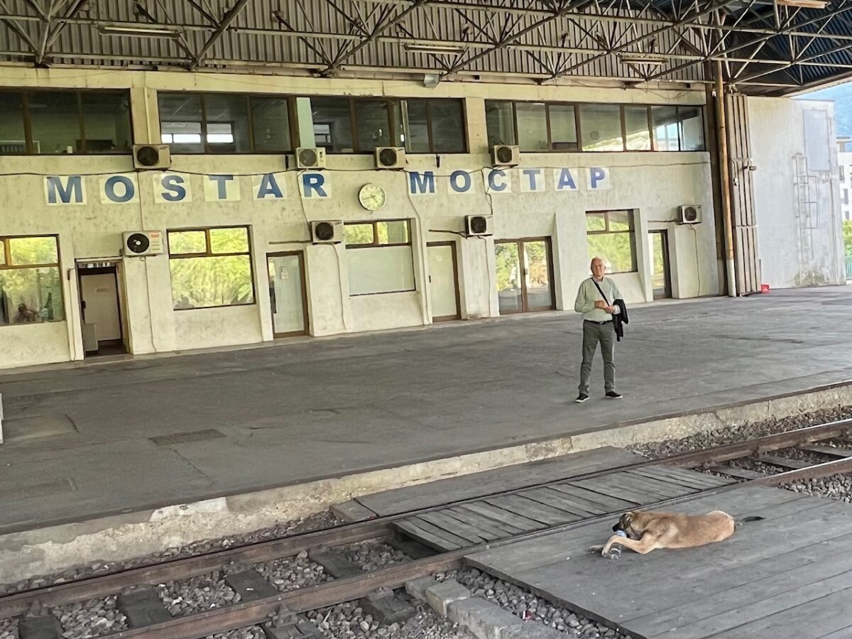 A stray dog on the tracks at the Mostar train station