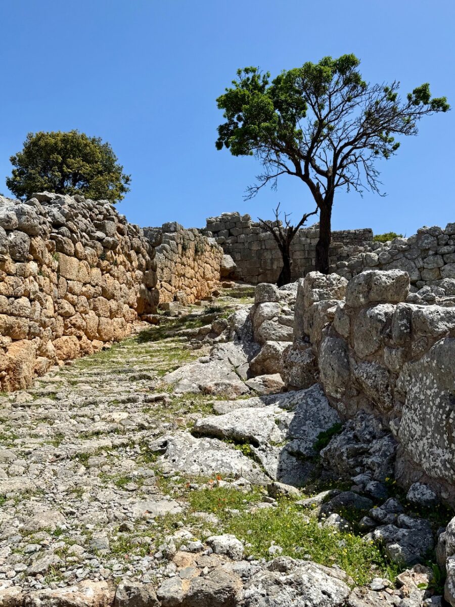 The main road entering Ancient Lato in Crete