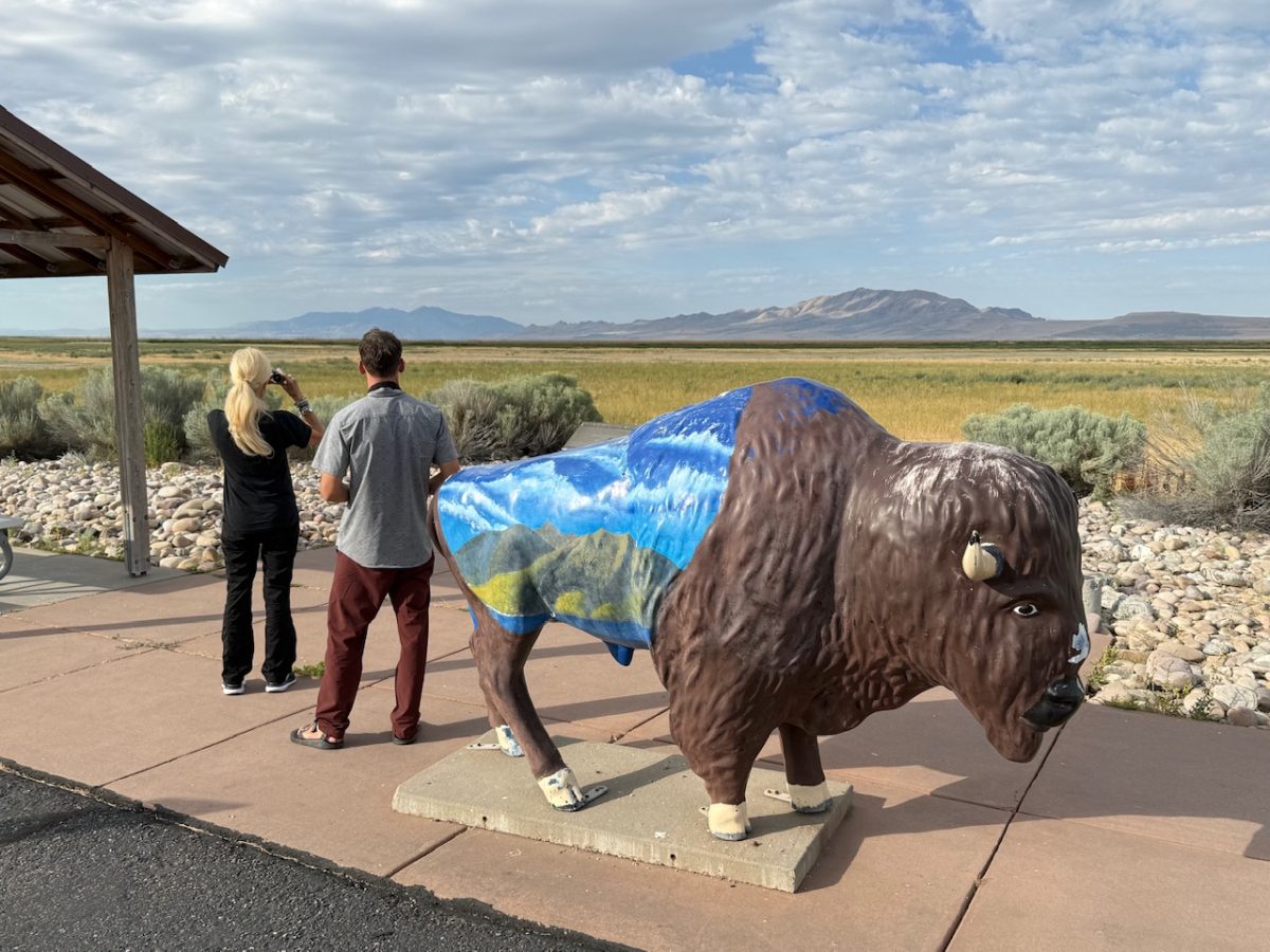 On Safari with Safari Utah looking out across to Antelope Island from the edge of the Great Salt Lake