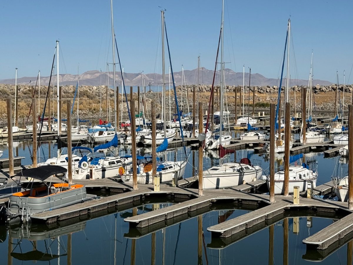 Boats in the marina at the Great Salt Lake State Park