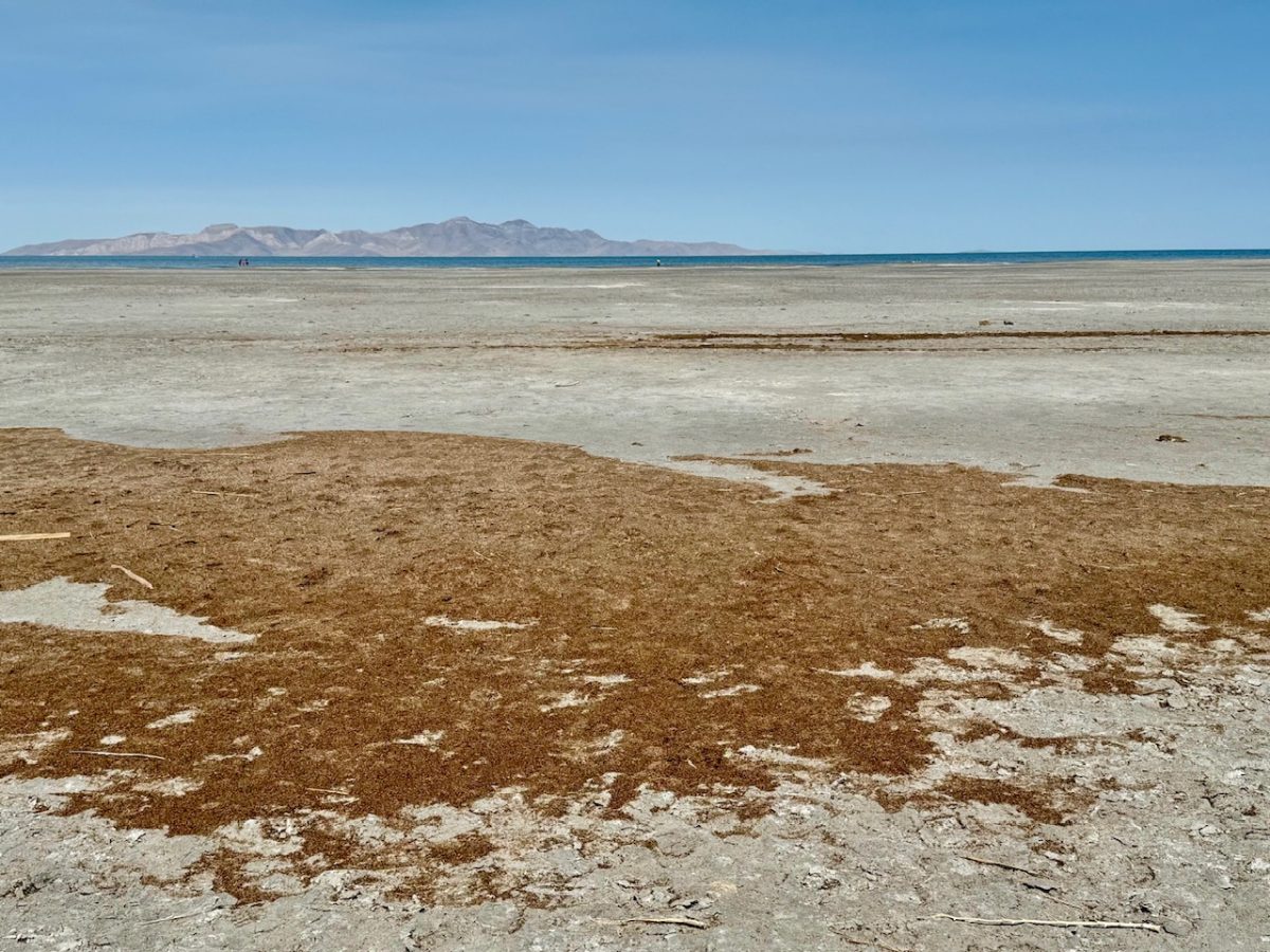 The dried lake bed of the Great Salt Lake with a ribbon of lake in the distance near Saltair