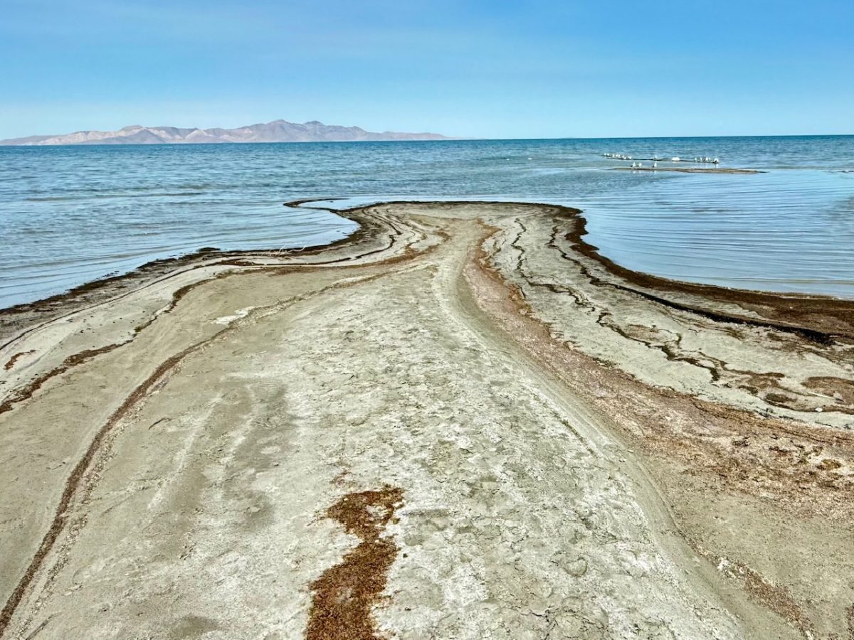 The multi-colored shoreline of the Great Salt Lake behind Saltair
