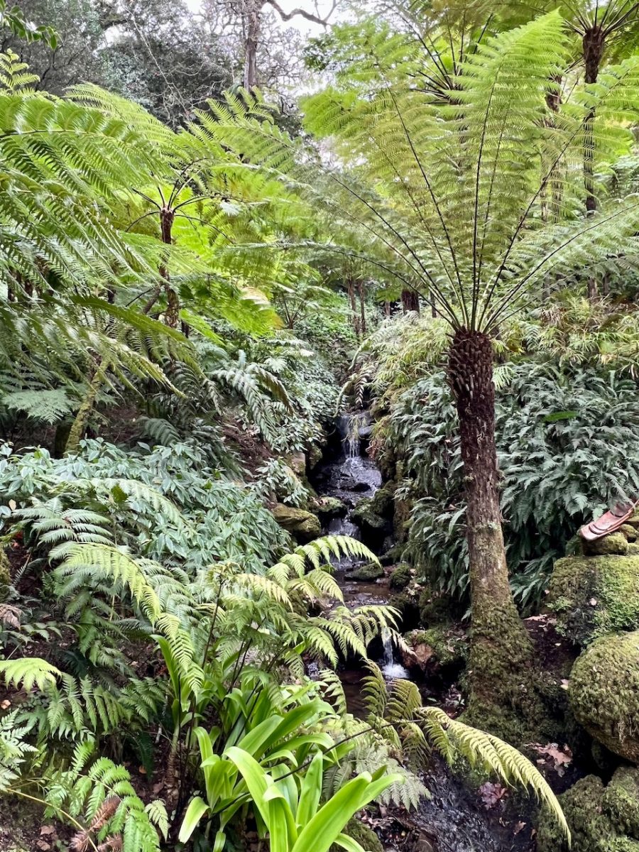 A waterfall in Fern Valley - a section of the Park at Monserrate in Sintra Portugal